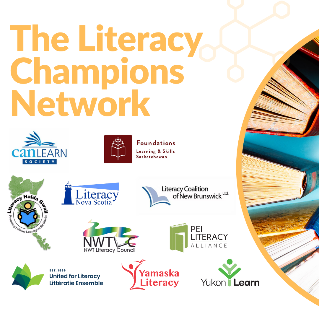 The Literacy Champions Network logo, which is a circle of books. There are individual organizations logos at the side.