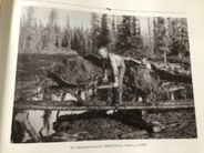 timeline image 1908